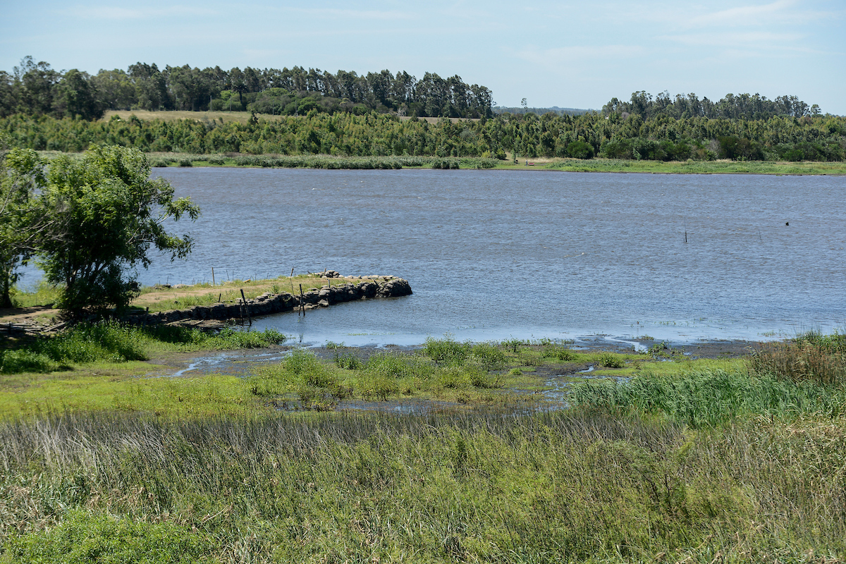 Debate De ONU Sobre Agua En Uruguay Consumo Responsable Y Soluciones