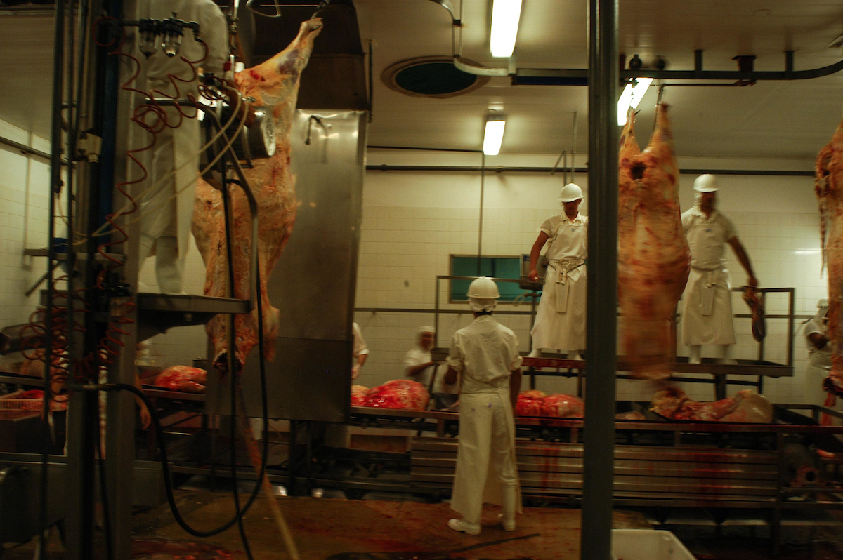 El sindicato del frigorífico Tacuarembó se declara en preconflicto