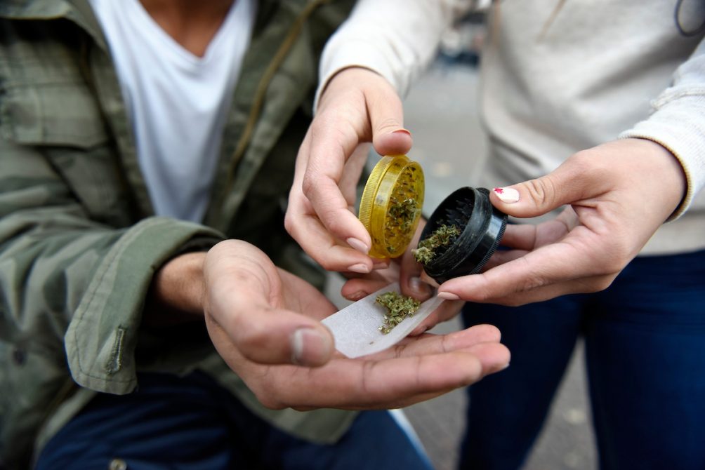 Se pone a la venta una variedad de cannabis con más THC