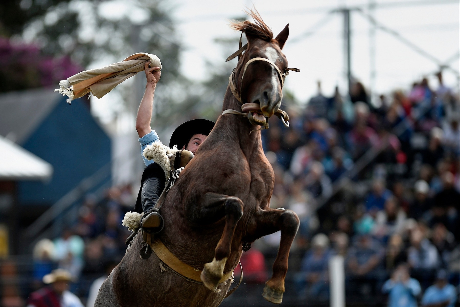 Se viene la 99ª edición de la Semana Criolla