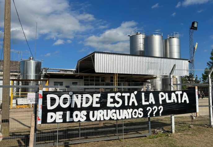 planta Calcar Tarariras