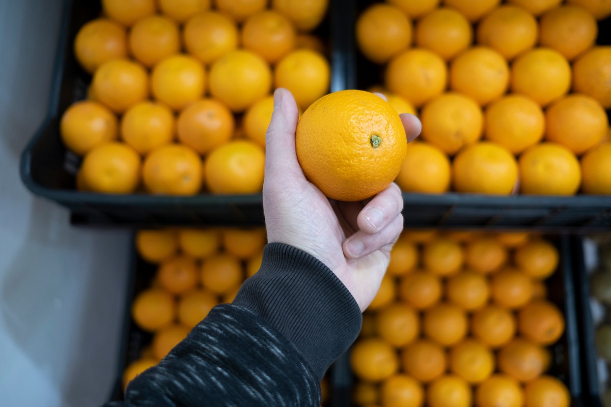 FerIA: Aplicación posibilita recibir lista de frutas y verduras de estación en el celular