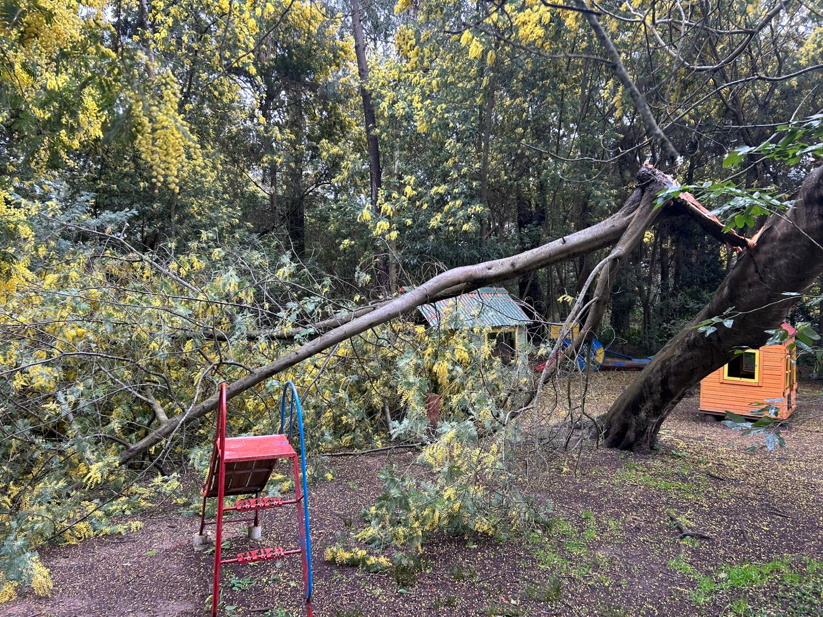 Temporal en Canelones: hubo 30 solicitudes de asistencia y más de 5500 quedaron sin luz