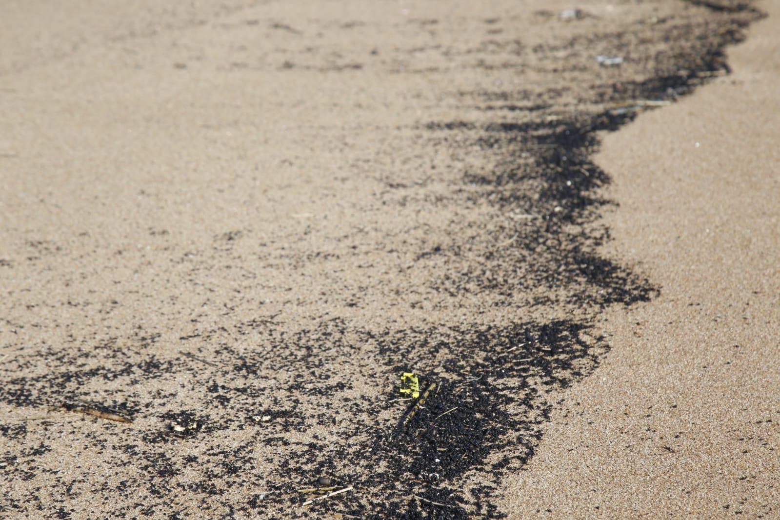 Maldonado: Intendencia advierte por restos de hidrocarburos en varias playas
