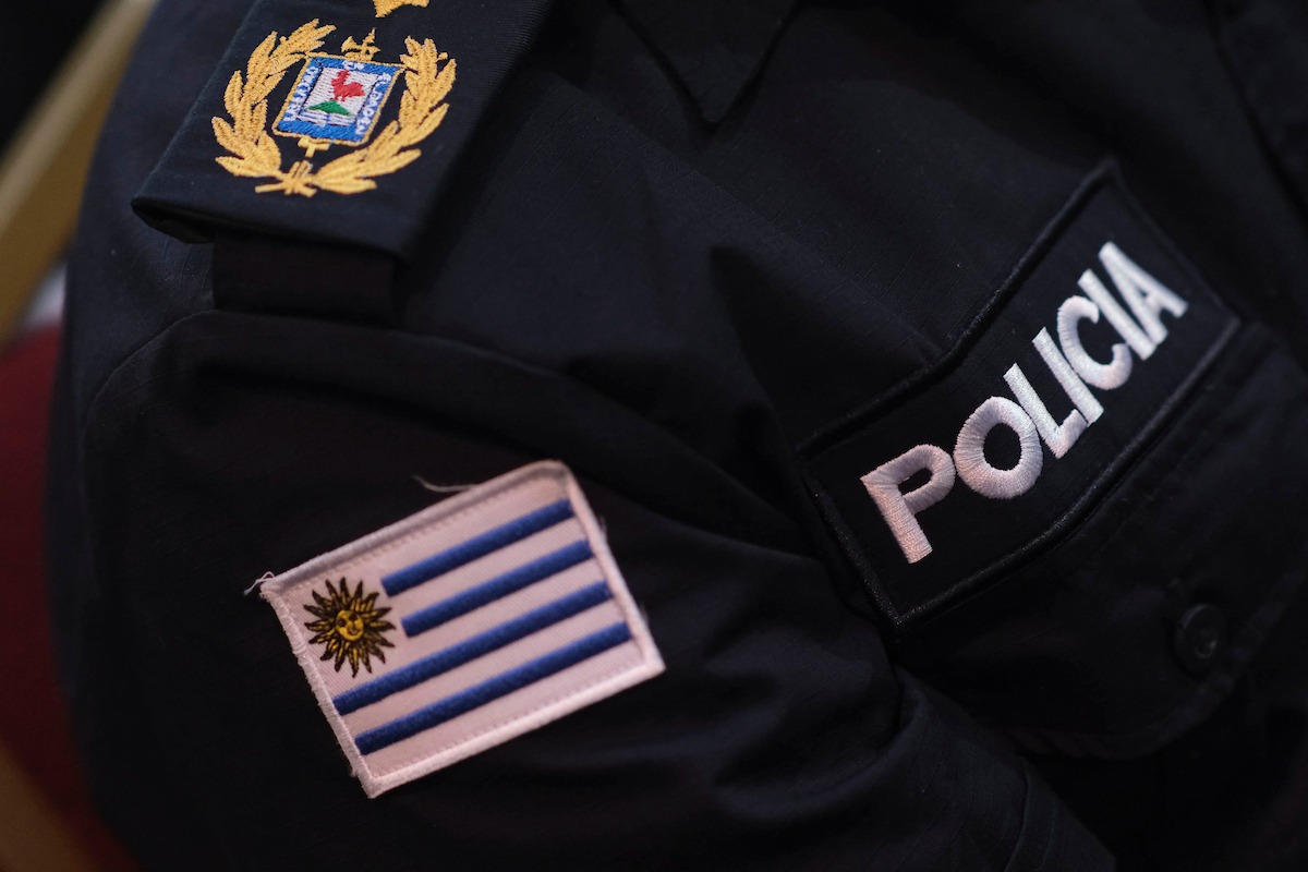 Informe muestra descenso de delitos en comparación con 2024