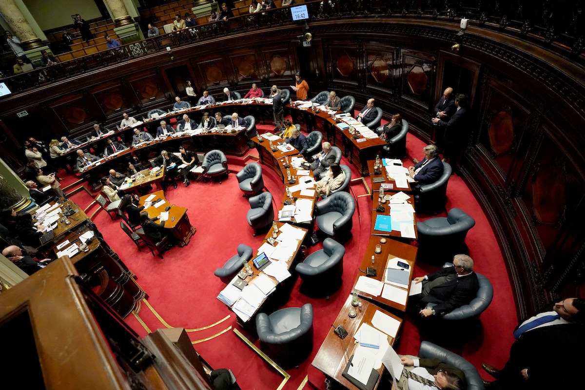 Avanza la agenda de la muerte: el Senado se prepara para aprobar el proyecto de eutanasia