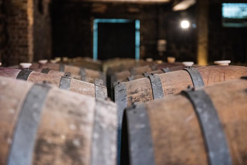 Montevideo será sede del Foro de Enoturismo 2025