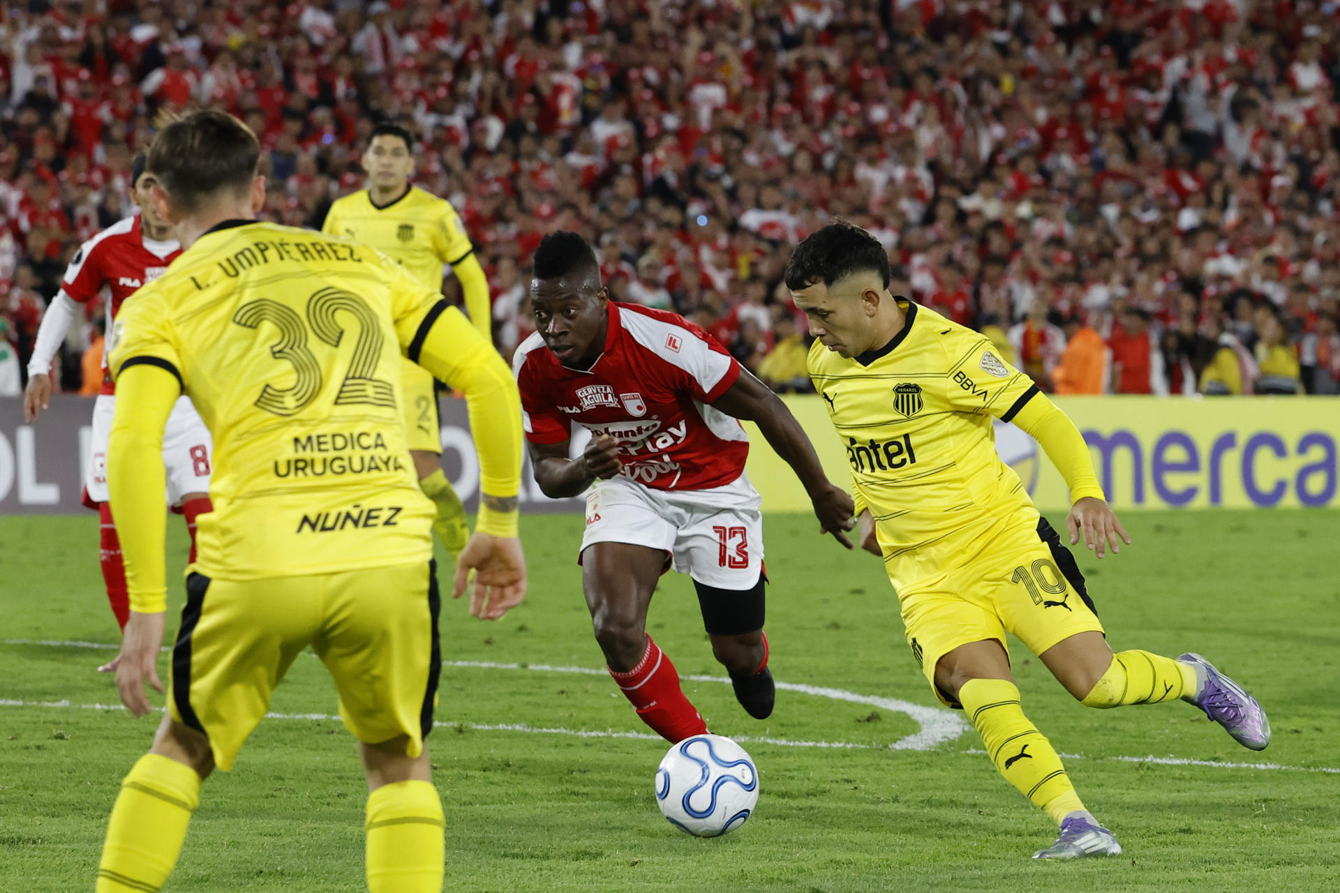 Leo Fernández será operado de la rodilla y sería baja por lo menos seis meses