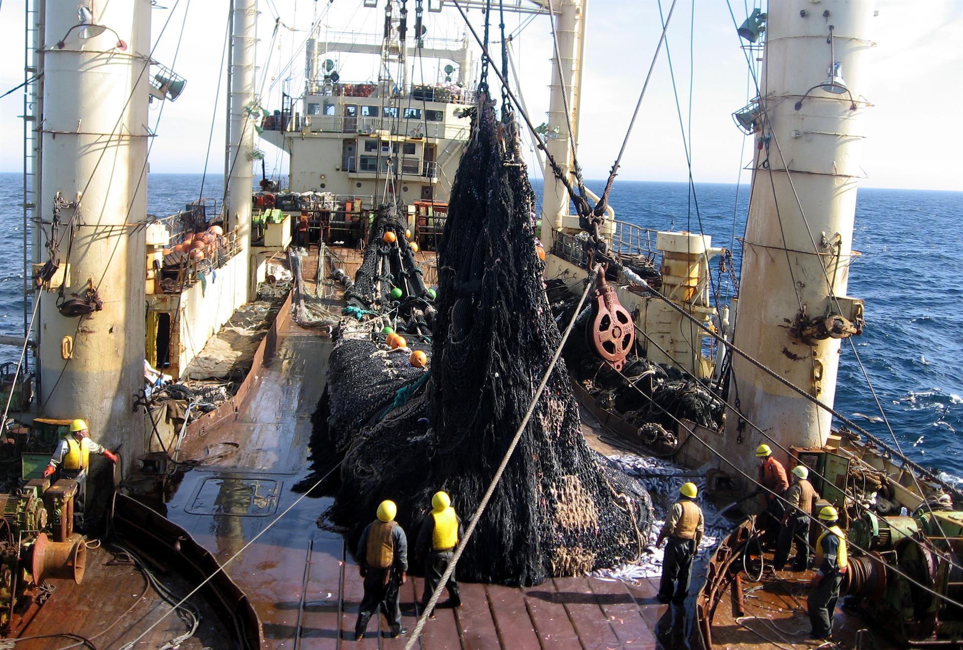 Pesca industrial en Uruguay cayó en los últimos años » Portal Medios  Públicos