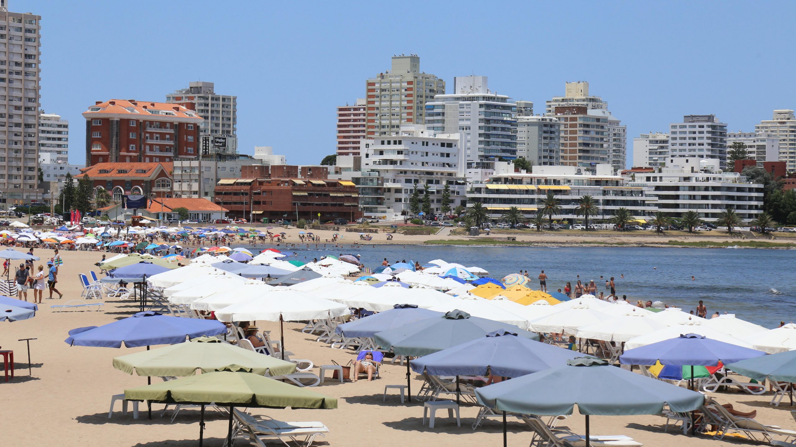 Antía se mostró confiado en las fortalezas de Maldonado para la próxima