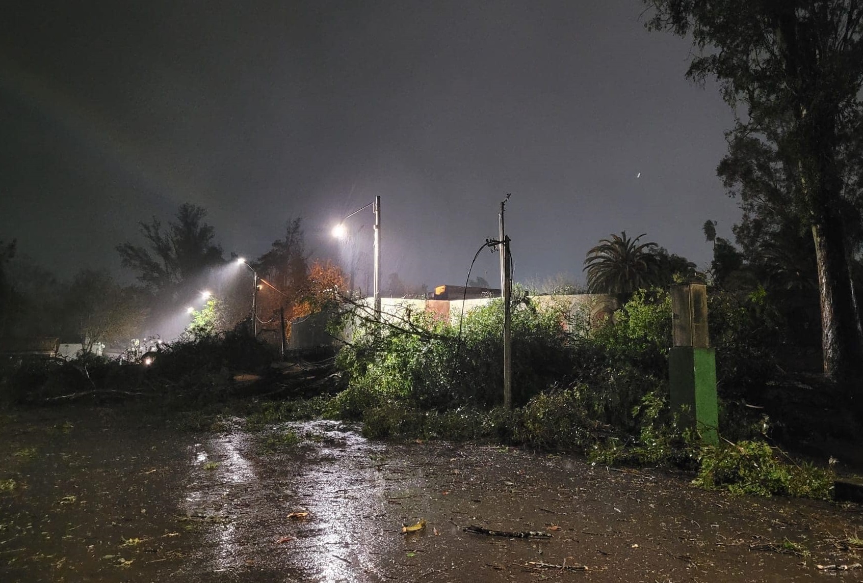 Voladuras de techos y caídas de árboles tras el temporal en Cerro Largo ...
