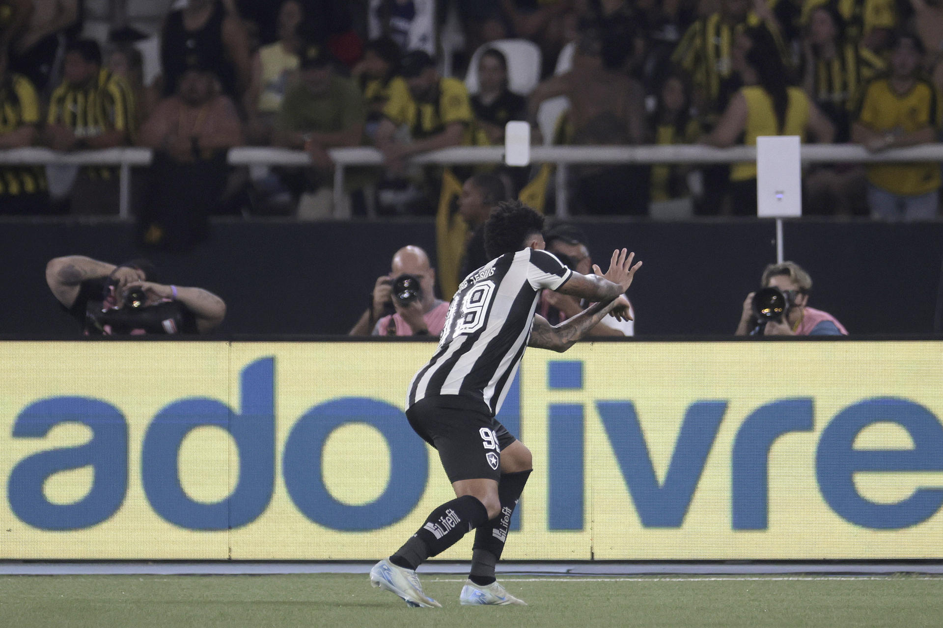 Botafogo ganó con un gol en la hora y puso los titulares