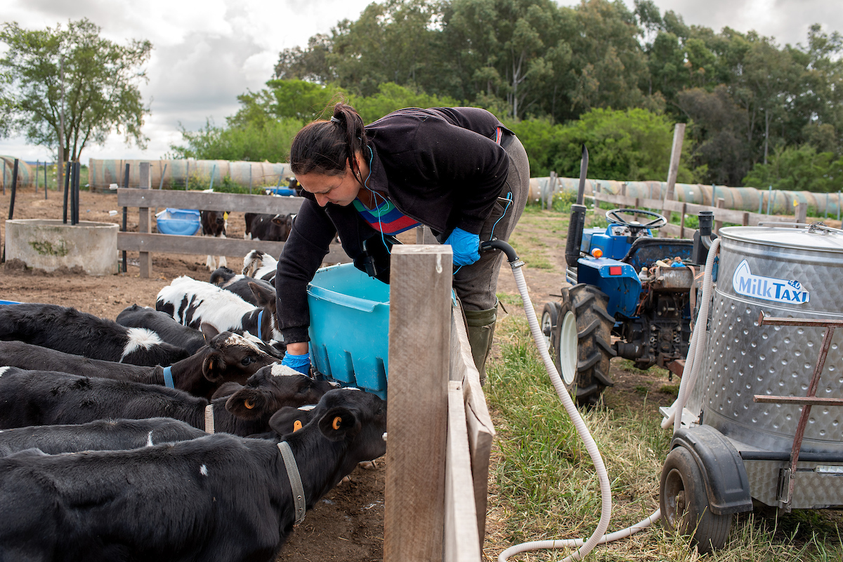 el-martes-15-se-celebra-el-d-a-de-la-mujer-rural-portal-medios-p-blicos